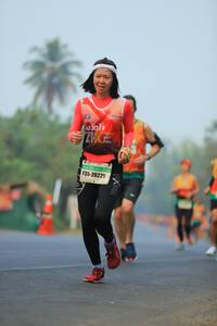 BIB: 
                            <button type="button" onclick="openModal(7961735)" class="btn btn-primary btn-sm float-right btn-popup" data-toggle="modal" data-target=".modal-high-quality">
                        <i class="fas fa-shopping-cart"></i> Add to Cart
                    </button>
                                            <button type="button" onclick="isThisMe(7961735, true)" class="btn btn-success btn-sm float-right btn-popup btn-isme hidden" data-toggle="tooltip" data-placement="bottom" title="นี่คือรูปของคุณใช่ไหม คลิกที่นี่เพื่อเอาเข้าอัลบั้ม">
                        <i class="fas fa-plus"></i> Add to album
                    </button>
                    <button type="button" onclick="isThisMe(7961735, false)" class="btn btn-warning btn-sm float-right btn-popup btn-isnotme hidden">
                        <i class="fas fa-ban"></i> Remove from album
                    </button>